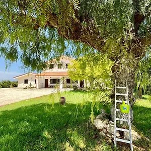  Appartamento Andrea San Lorenzo Italia